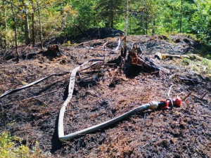 Jihočeští hasiči měli plné ruce práce. Zasahovali u jedenácti požárů v přírodě
