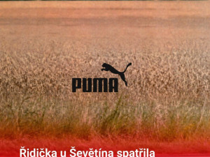 Černý panter rozpoutal na jihu Čech lavinu vtipů. Internet zaplavily humorné koláže