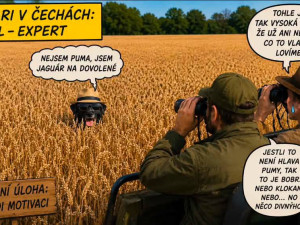 Černý panter rozpoutal na jihu Čech lavinu vtipů. Internet zaplavily humorné koláže