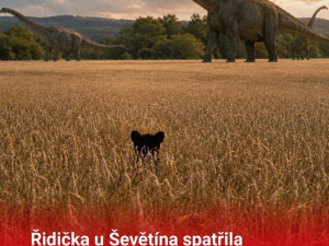 Černý panter rozpoutal na jihu Čech lavinu vtipů. Internet zaplavily humorné koláže