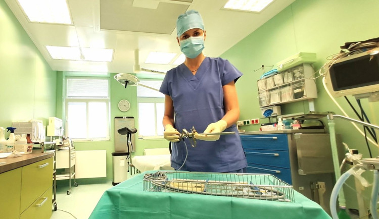 Ženy dbají na prevenci, zájem o hysteroskopii roste. Nemocnice má krátké lhůty