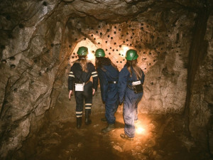 Kam se schovat před letním vedrem? Jižní Čechy lákají do podzemí