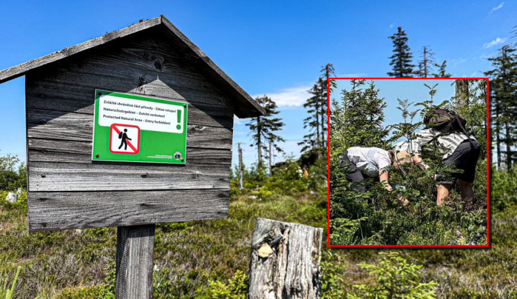 Hádka o borůvky skončila rvačkou. Sběrači zmlátili cyklisty kýblem