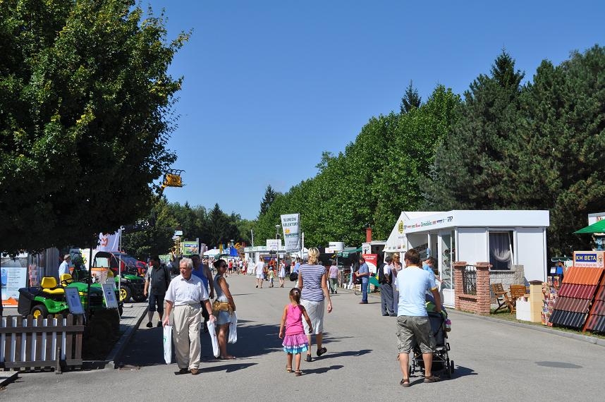 ZŽ 2011
