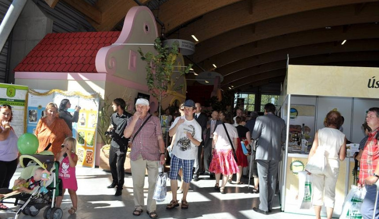 ZŽ Pavilon T interiér