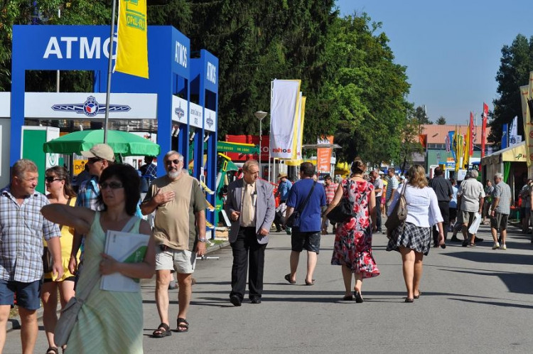 ZŽ 2011