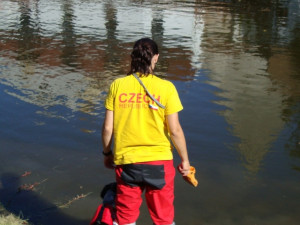 Vodní hry, nebo hry na vodě