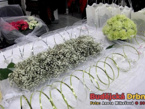 Svatební veletrh v Českých Budějovicích