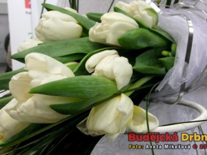 Svatební veletrh v Českých Budějovicích