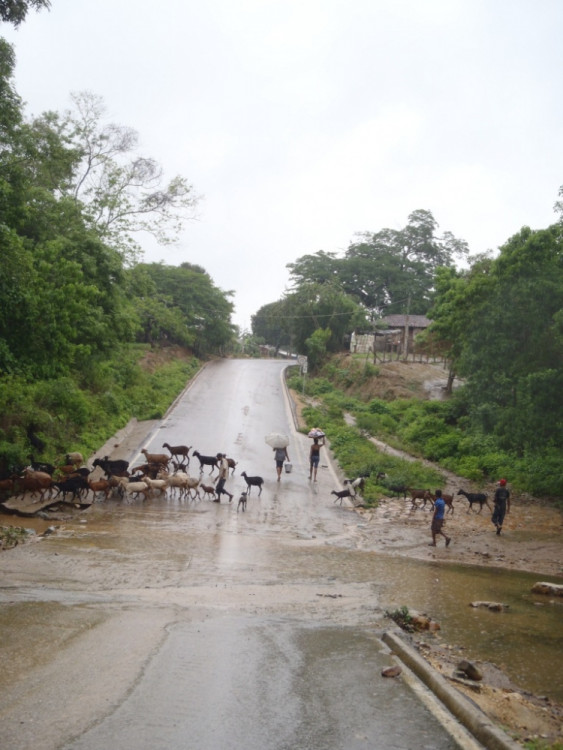 Oblast Guerrero - západní Mexiko - nahánění dobytku