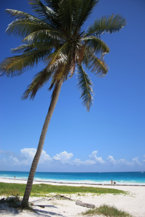 Oblast Quintana Roo - Tulumská pláž