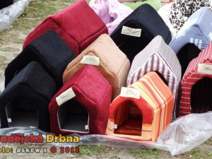 Mezinárodní  výstava psů v Českých Budějovicích