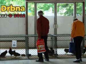 K vidění byla i domácí zvířata