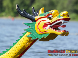 Závody dračích lodí na Lipně