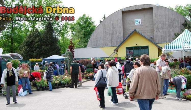 Hobby bylo plné květin, stromků a sazenic