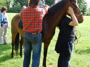 Dostávat děti do sedla celé odpoledne, to nebyla žádná sranda