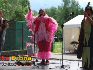 Zpívající plameňák