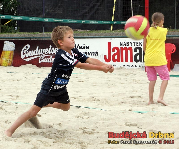 Benefice pro Centrum BAZALKA 2012