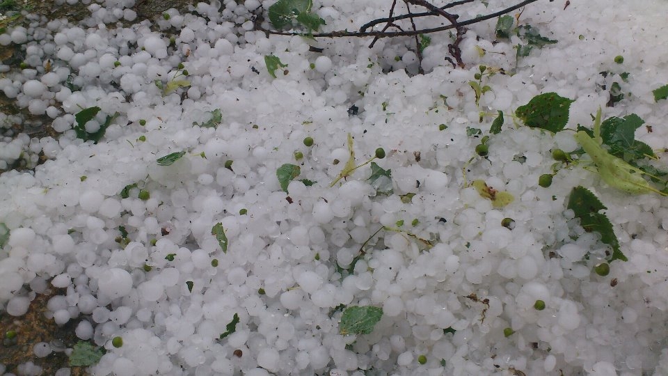 Dobčice. Foto Martin Bíca