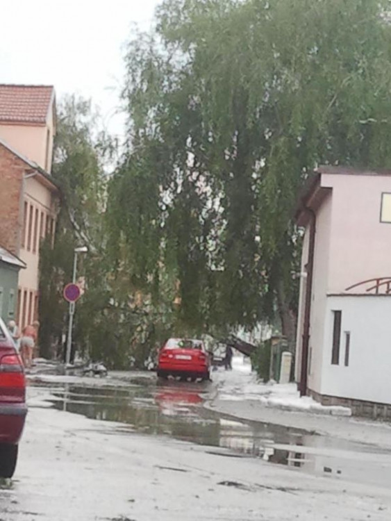 Foto Petr Lexa