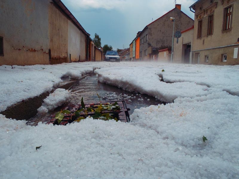 Mladé. Foto Zuzana Havelková