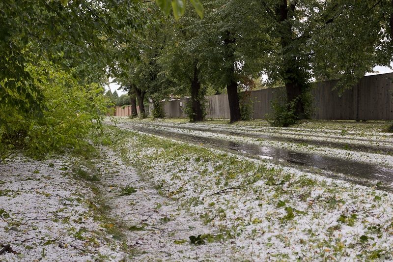 Plavská. Foto David Louženský