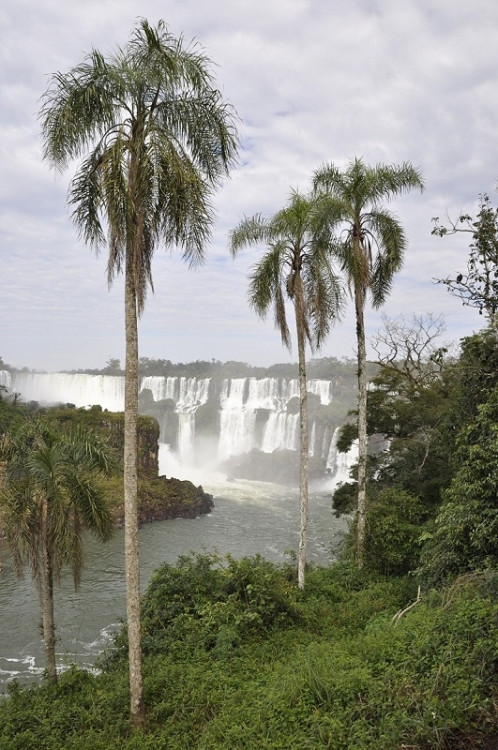 Iguazú - romantická vyhlídka