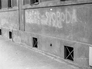 Ulice Boženy Němcové. Foto Karel Svoboda