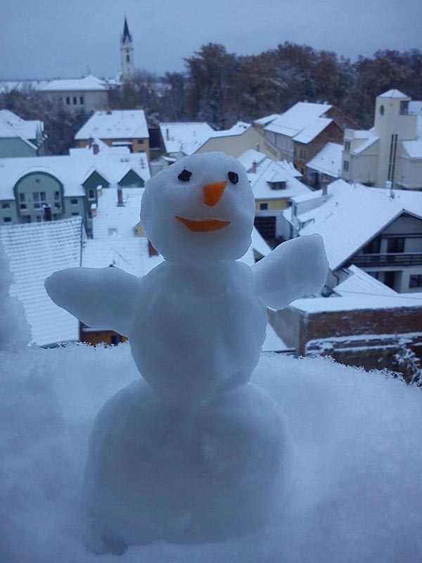 Ranní pozdrav z Třeboně. Foto Petra Žahourová