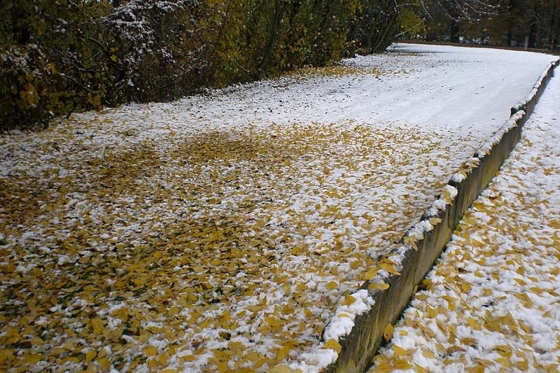 Okolí Kněžských Dvorů. Foto Martina Vachová