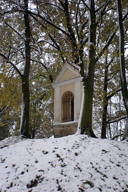 Okolí Kněžských Dvorů. Foto Martina Vachová