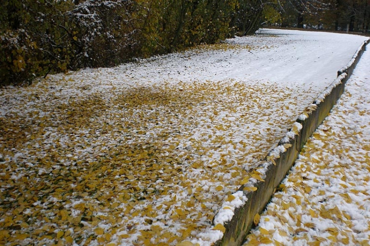 Okolí Kněžských Dvorů. Foto Martina Vachová