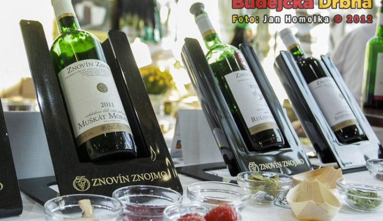 8. Gastrofest 2012 v Českých Budějovicích