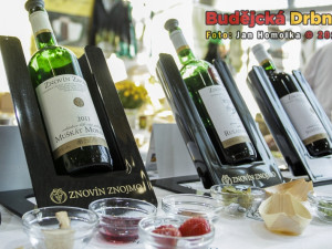 8. Gastrofest 2012 v Českých Budějovicích