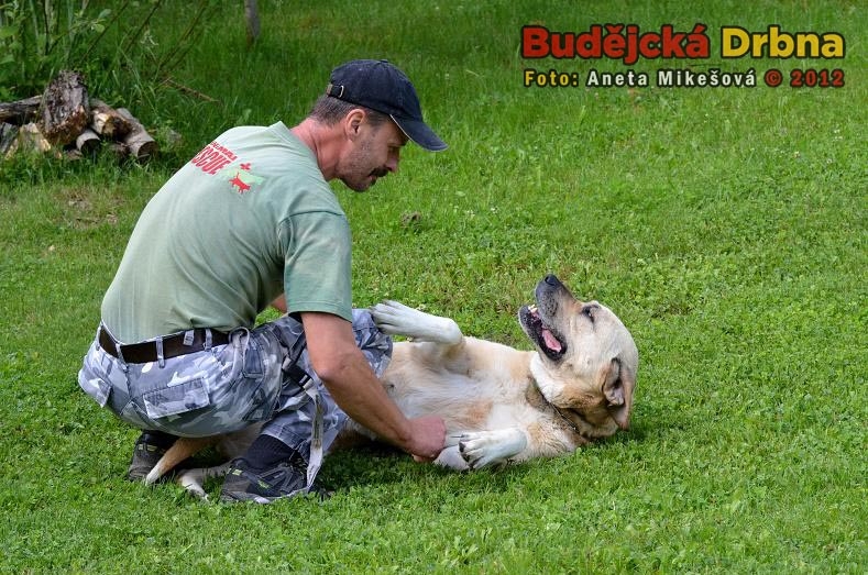 Vladimír Kössl z Animal Rescue s jedním ze svých svěřenců