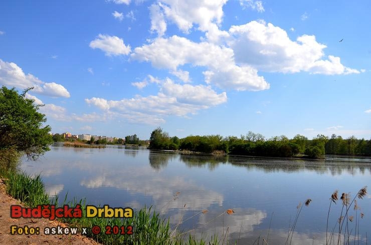 Vrbenský rybník