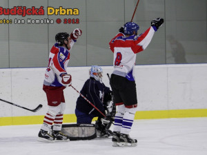 Memoriál Daniela Fleischmana 2012