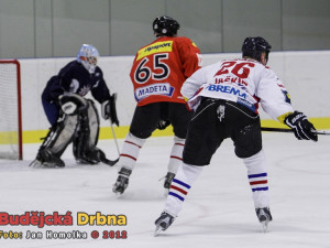 Memoriál Daniela Fleischmana 2012