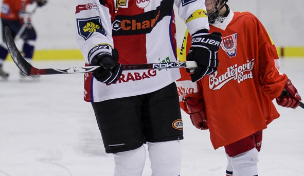 Memoriál Daniela Fleischmana 2012