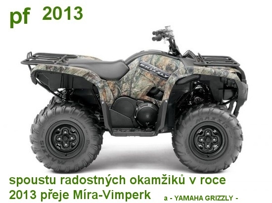 YAMAHA GRIZZLY