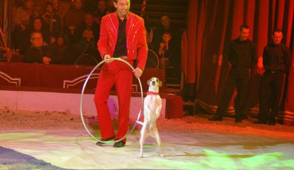 Jacky předváděl neuvěřitelné kousky