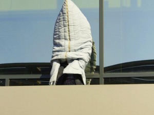 Harlem Shake studentů Jihočeské univerzity