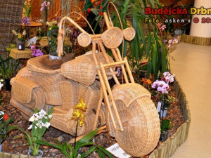 Prodejní výstava orchidejí v DK Metropol