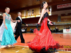 Mistrovství jižních Čech 2013 v tanečním sportu