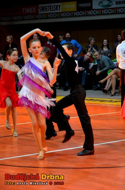 Mistrovství jižních Čech 2013 v tanečním sportu