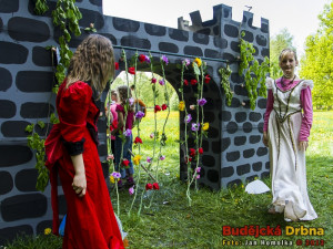 Do pohádky s králíky 2013