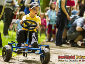 Do pohádky s králíky 2013