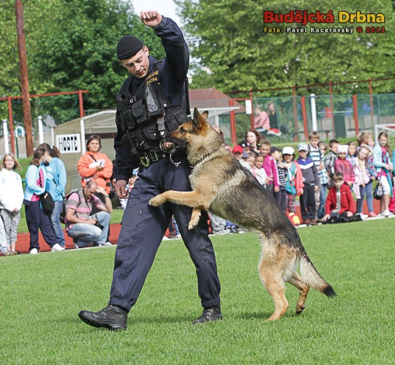Den policie 2013
