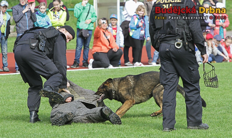 Den policie 2013