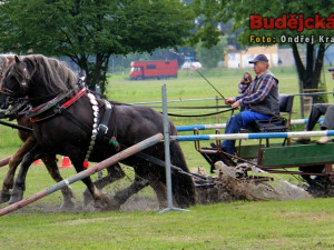 Kvalifikační kolo Mistrovství České republiky v kombinovaných soutěžích chladnokrevných koní